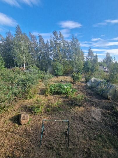 Участок 8 сот. (СНТ, ДНП)