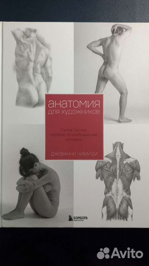 Анатомия для художников