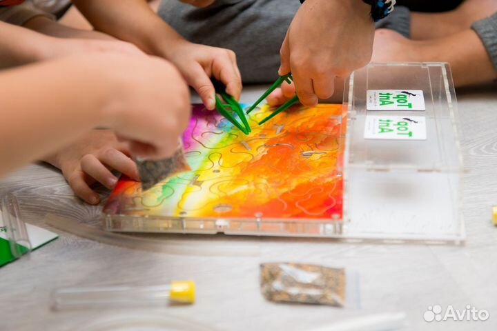 Формикарий/ Подарок для ребенка/ Муравьиная ферма