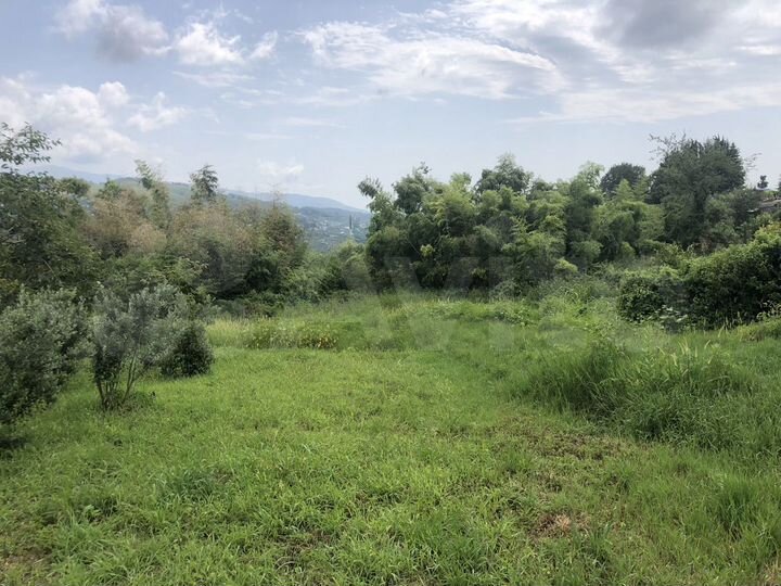 Участок 38 сот. (ИЖС)