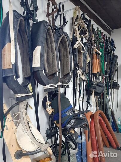 Хомуты и седла