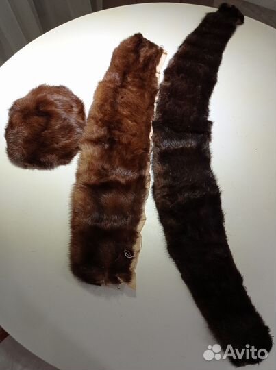 Шкурки меха норки