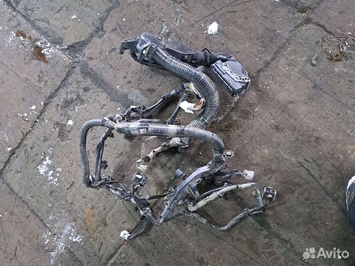 Проводка двигателя Мазда сх5 2.0 АКПП 2Wd