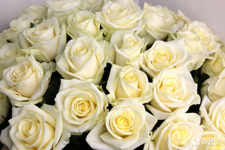 Доставка цветов букеты цветы розы