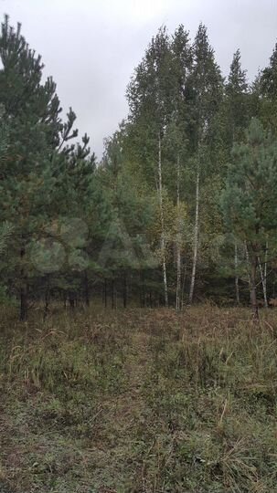 Участок 2 га (СНТ, ДНП)