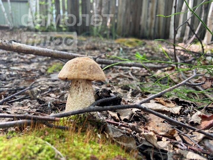 Дача 25 м² на участке 7,2 сот.