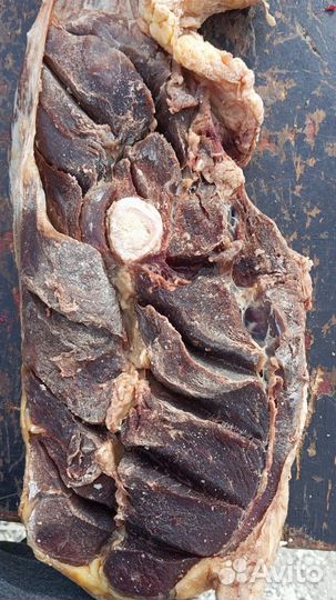 Ботлихская