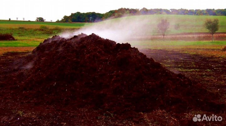Чернозем, навоз с доставкой. Газон 5 тонн