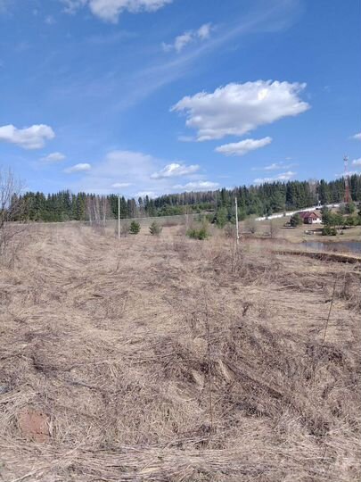 Участок 10 сот. (ИЖС)