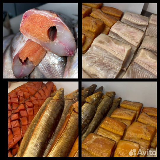 Северная рыба