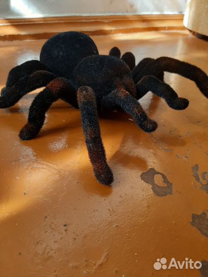Тарантул на радиоуправлении