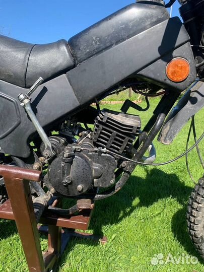 Зид 50 пилот