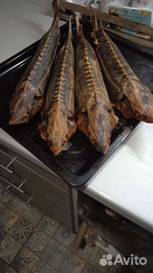 Рыба горячего копчения