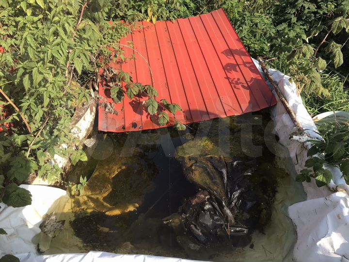 Участок 4,8 сот. (СНТ, ДНП)