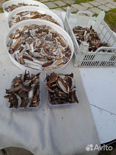 Грибы сушеные