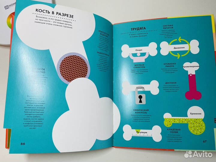 Инфографика 