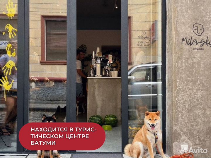 Готовый бизнес известная кофейня в Батуми