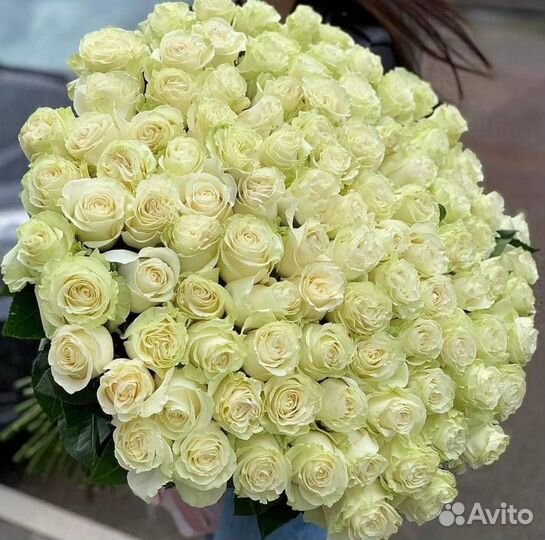 Цветы 101 роза