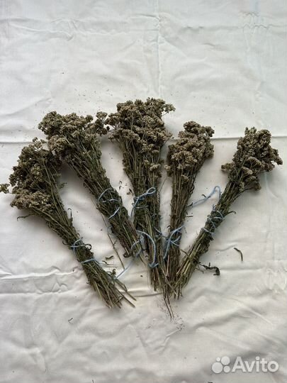 Зверобой, листья черники, мята,мелисса