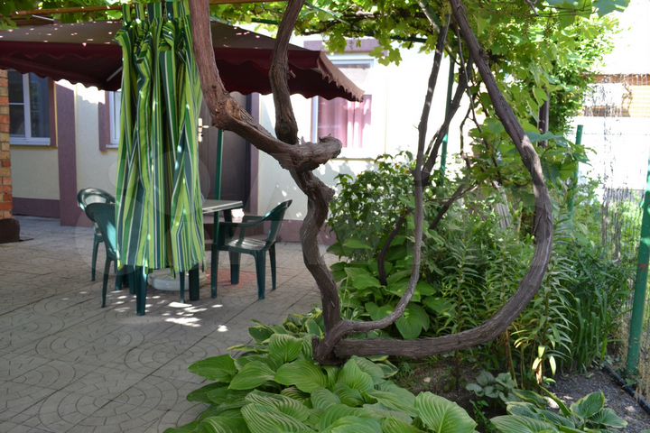 Дом 35 м² на участке 5,5 сот.