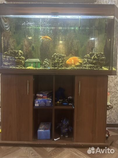 Аквариум