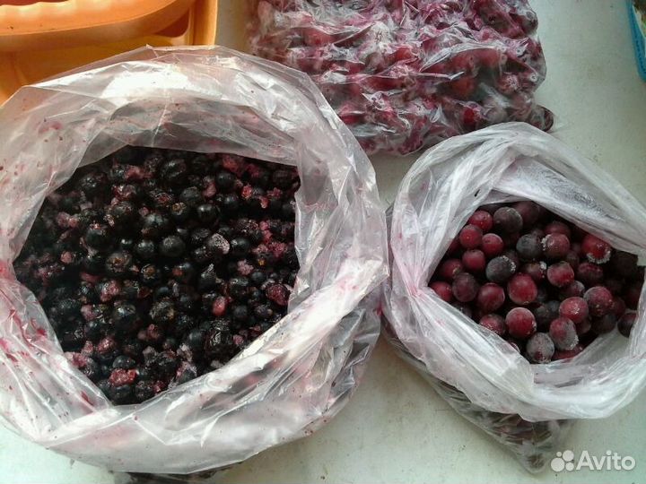 Крыжовник, ежевика,слива,калина,черноплодка