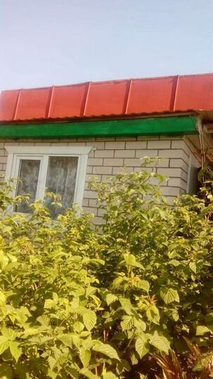 Дача 55 м² на участке 5,1 сот.