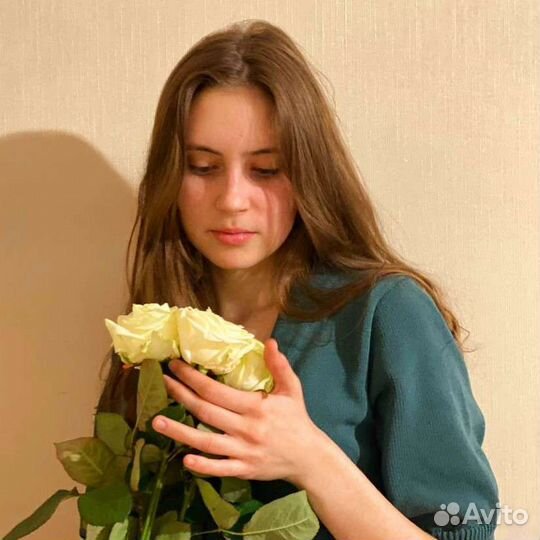 Репетитор по истории