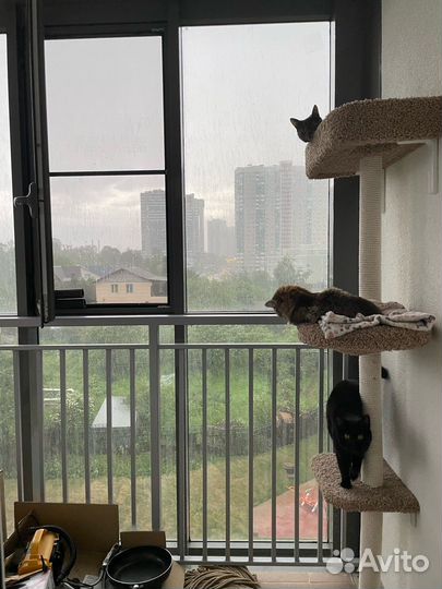 Когтеточка столбик с гамаком 