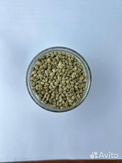 Конопляное семя / Для маслоделов