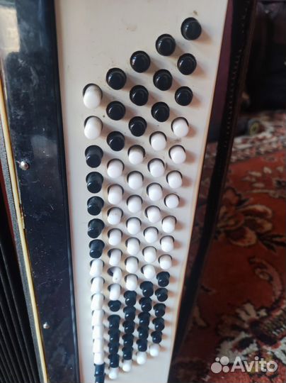 Аккордеон березка 2