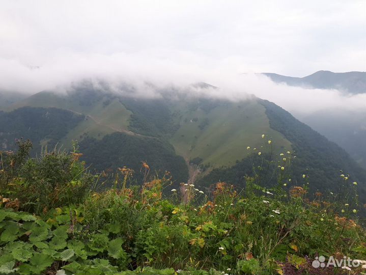 Индивидуальные экскурсии по Чеченской республике