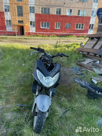 Нексус пантера