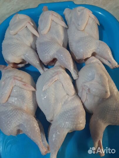 Мясо перепелов