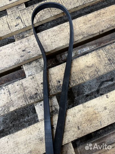 Ремень приводной Bmw 7 E38 M62B35 1999