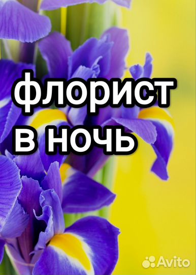 Ночной флорист