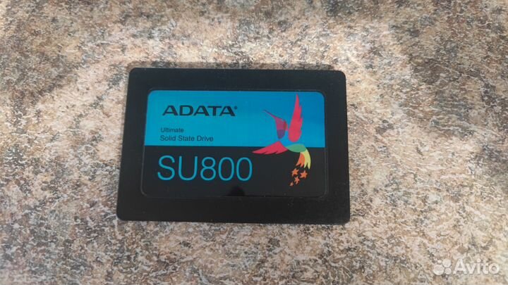 SSD adata SU800 1tb