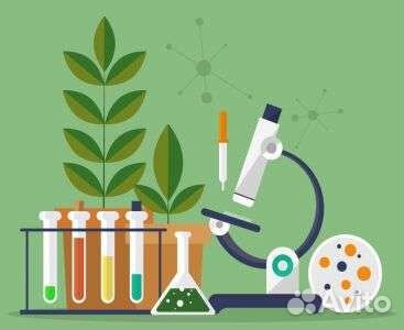 Репетитор по биологии