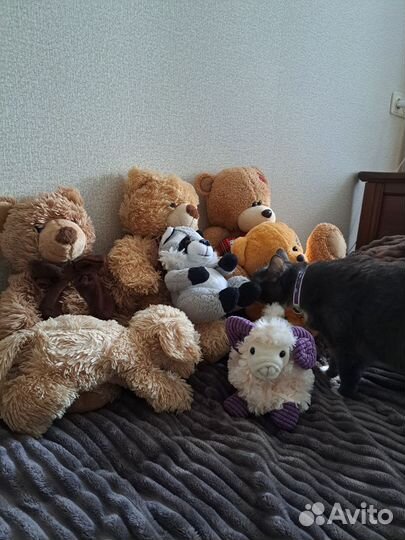Мягкие игрушки