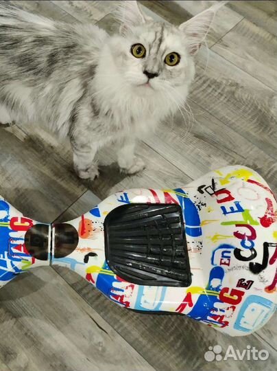 Гироскутер бу