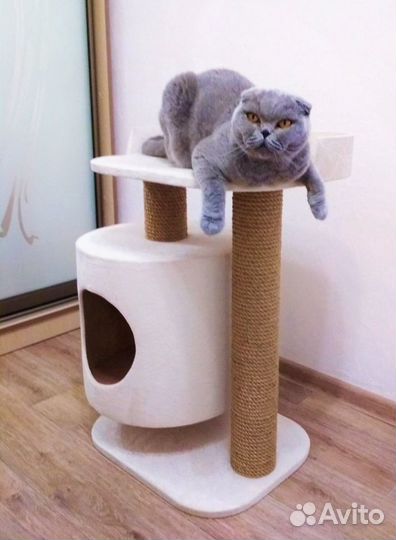 Комплексы с когтеточкой и домиком