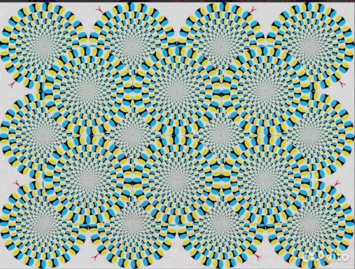 Мойщик вахтой жилье +Питание Аванс еженед. +Хороши