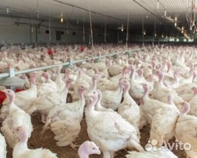 Вахта. Работники. Ростовская область