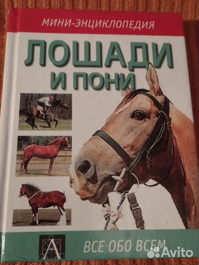 Лошади и пони. Энциклопедия