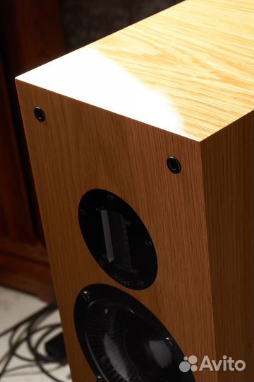 ProAC Carbon Pro 8 напольная акустика Hi-End класс