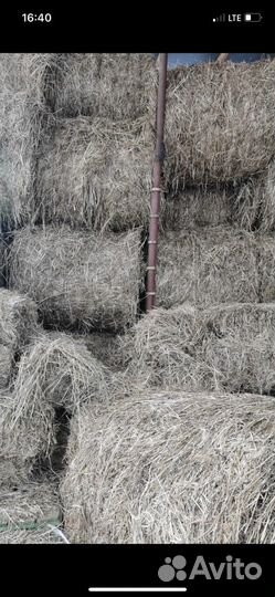 Продам сено в тюках