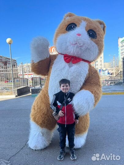 Поздравление,Мишка,Зайка,Кот,Аниматор,Ростовая