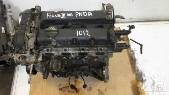 Форд фокус 125 лс. Двигатель PNDA 1.6 125 Л. Двигатель Форд Мондео 1.6. Двигатель Форд 1.6 125 л.с. Двигатель Форд фокус 3 1.6 125 л.с.