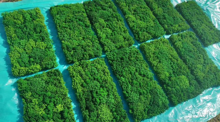 Украсьте свою стену оригинальным панно из мха