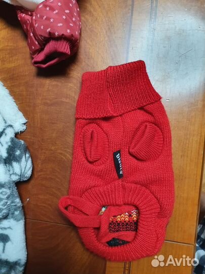 Одежда для маленькой собачки